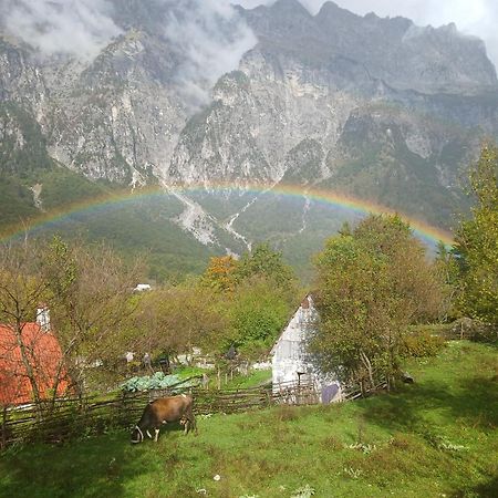 Bed and Breakfast Bujtina Milani Szkodra Zewnętrze zdjęcie