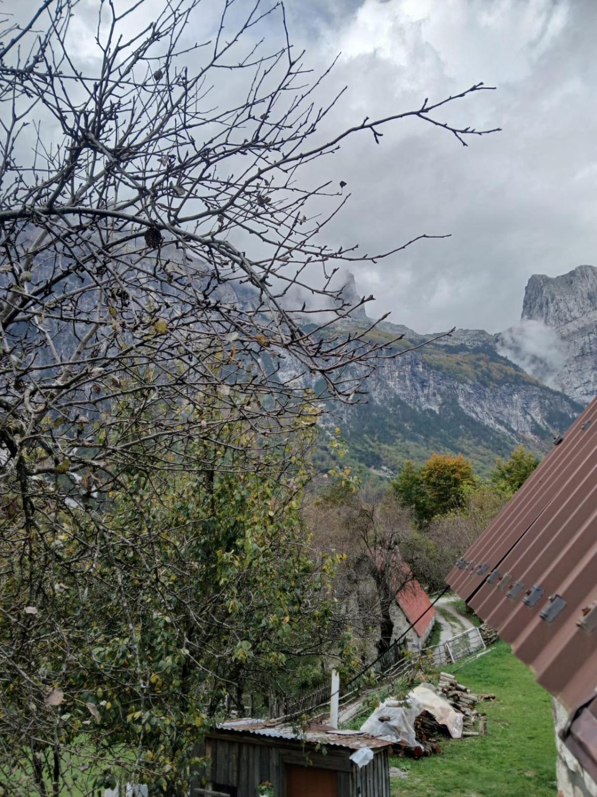 Bed and Breakfast Bujtina Milani Szkodra Zewnętrze zdjęcie