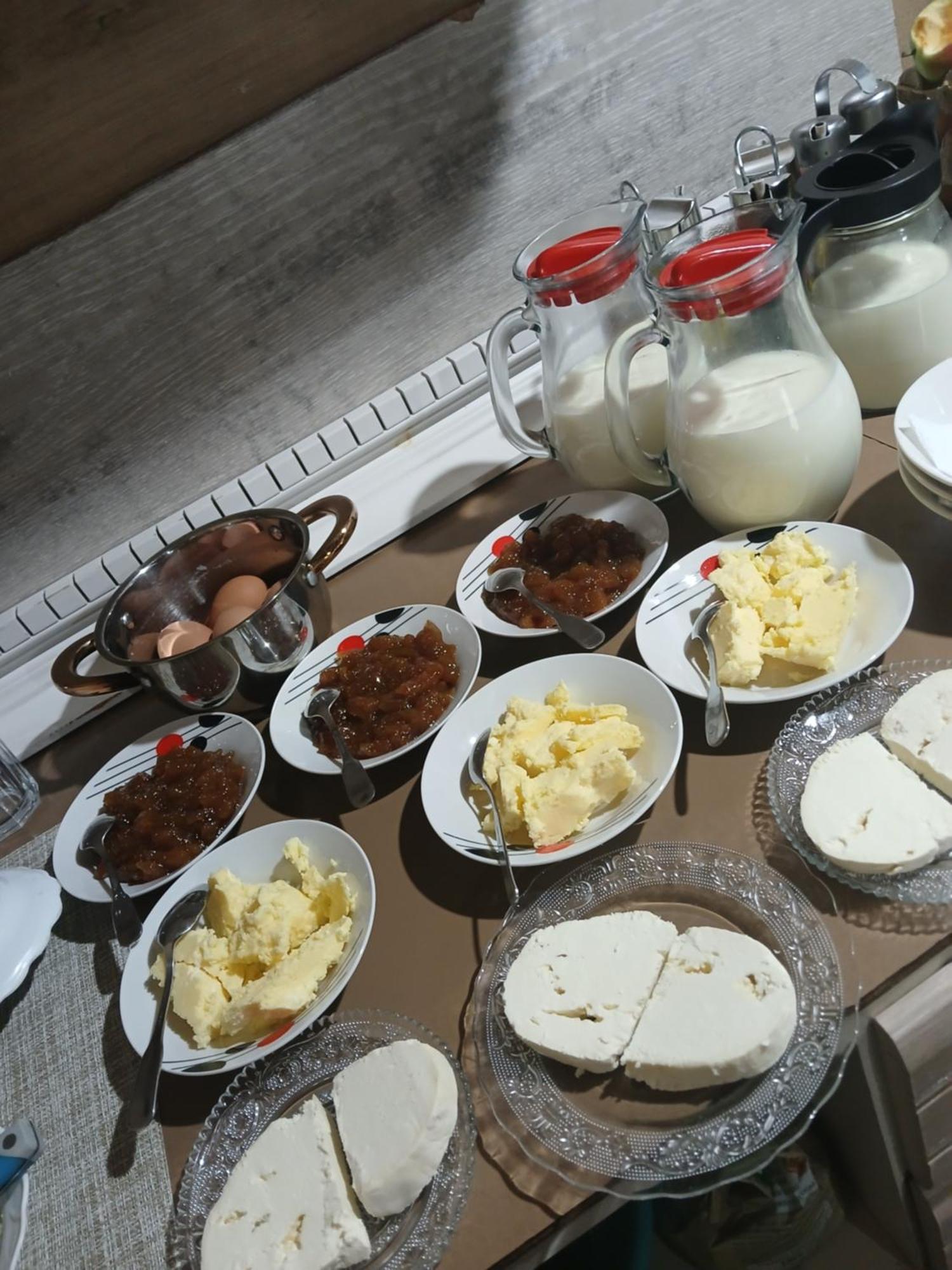 Bed and Breakfast Bujtina Milani Szkodra Zewnętrze zdjęcie