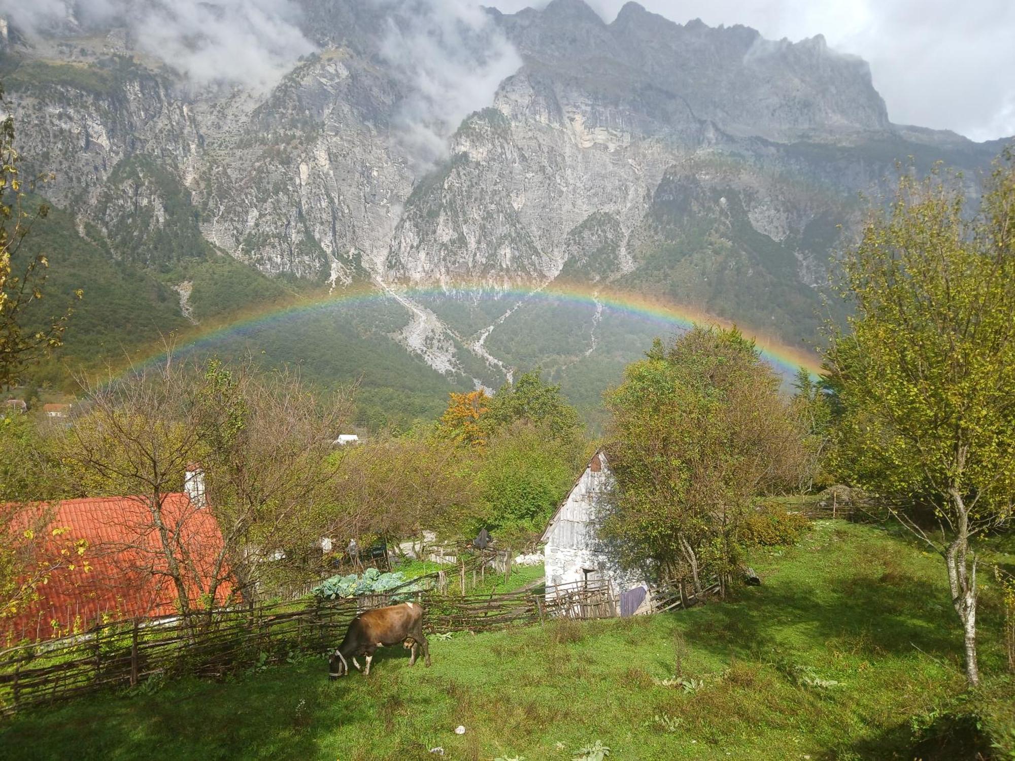 Bed and Breakfast Bujtina Milani Szkodra Zewnętrze zdjęcie